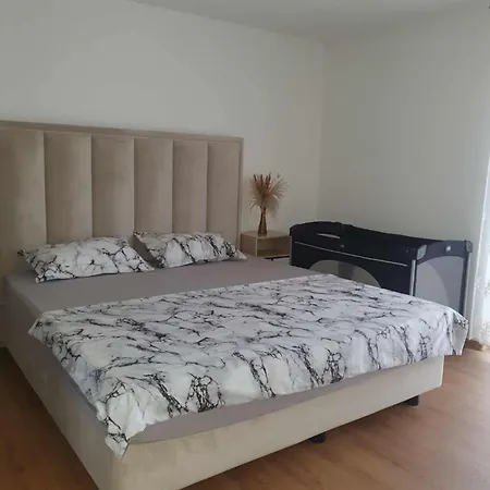 Luxury Spectus 빌라